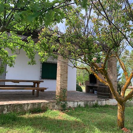 Gran Casa, Lagunas De Ruidera, Bbq, Porche, Chimenea ภายนอก รูปภาพ