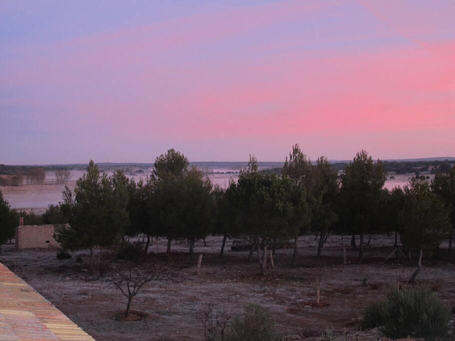 Gran Casa, Lagunas De Ruidera, Bbq, Porche, Chimenea ภายนอก รูปภาพ