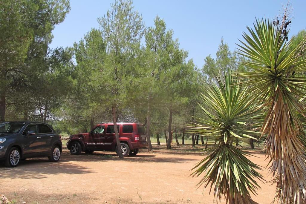Gran Casa, Lagunas De Ruidera, Bbq, Porche, Chimenea ภายนอก รูปภาพ