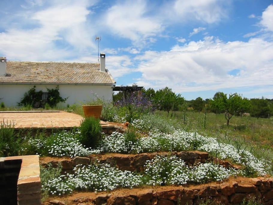 Gran Casa, Lagunas De Ruidera, Bbq, Porche, Chimenea ภายนอก รูปภาพ