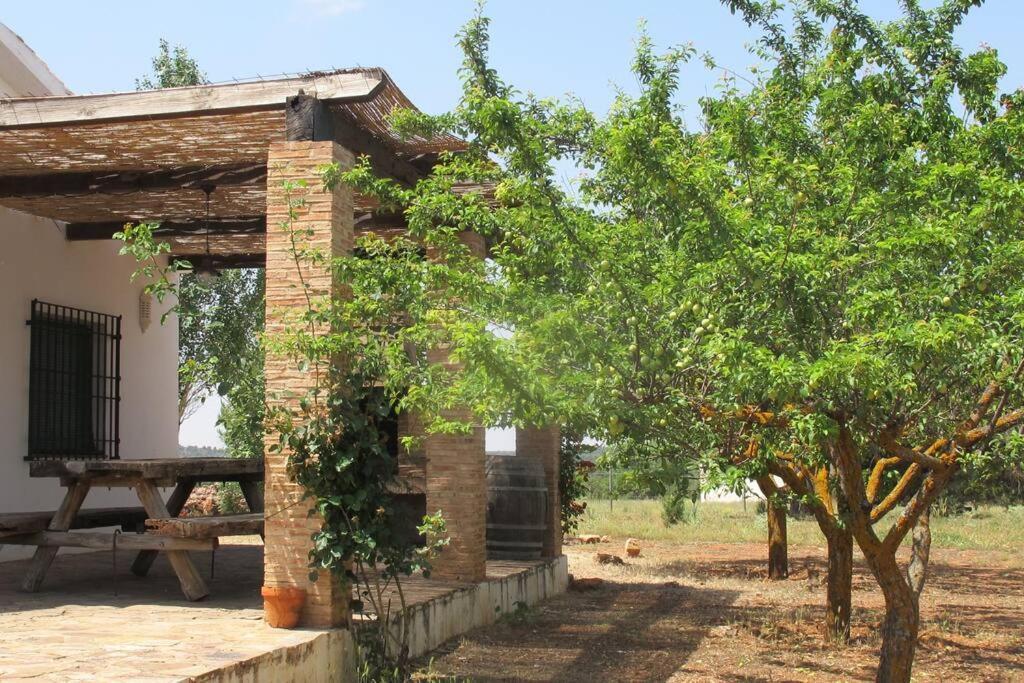 Gran Casa, Lagunas De Ruidera, Bbq, Porche, Chimenea ภายนอก รูปภาพ
